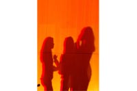 Schatten